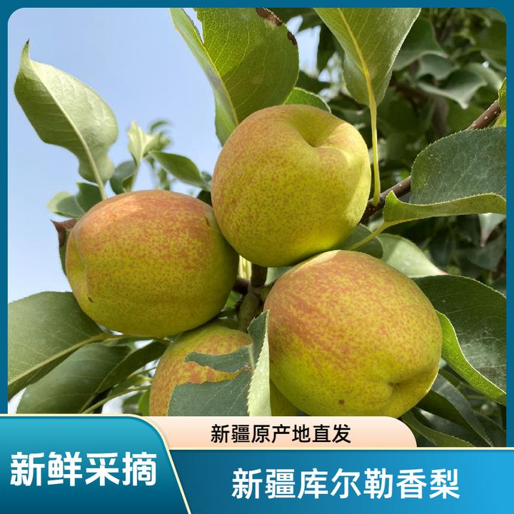 【2024高品质香梨5斤福利】新疆库尔勒香梨应季水果脆甜多汁