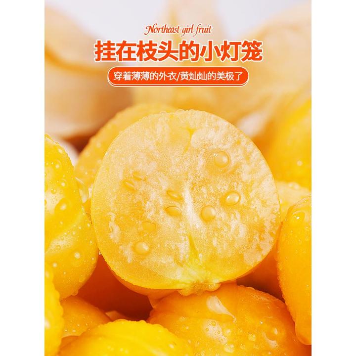 东北姑娘果当季新鲜现摘黄菇娘灯笼果薄皮甜菇娘大果特产邮笋1g