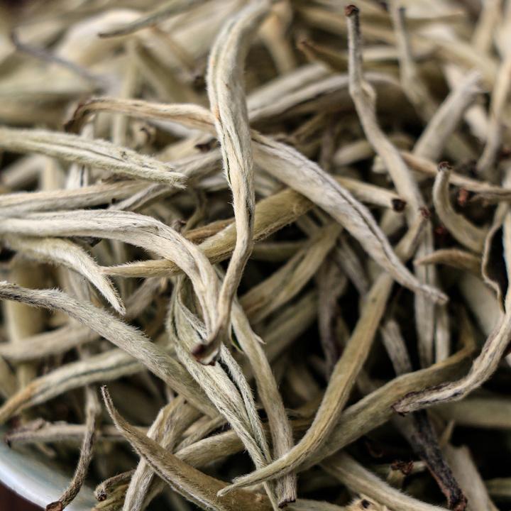 品极山品极山古树白茶景谷白毫银针
