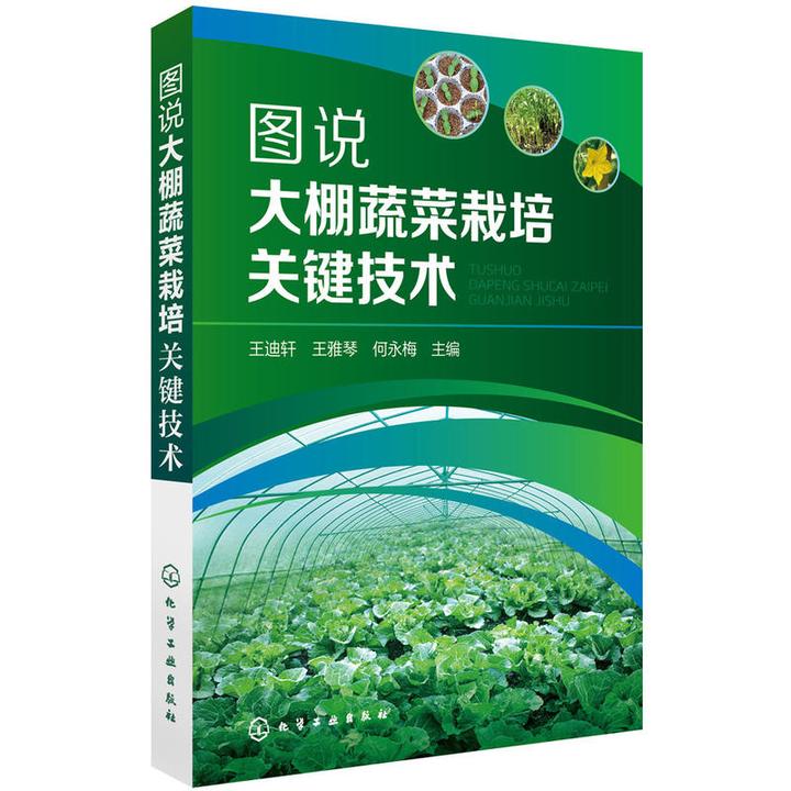 图说大棚蔬菜栽培关键技术蔬菜种植书籍大全农业温室大棚技术书籍