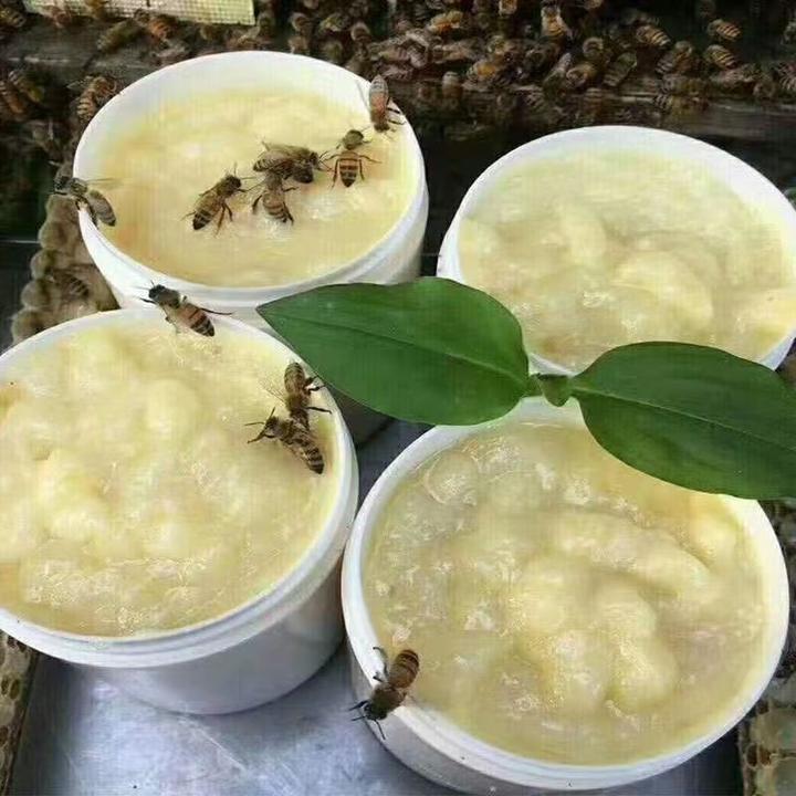 油菜浆新鲜蜂王浆原浆蜂皇浆蜂初乳深山蜂王胎顺丰高品质新店价