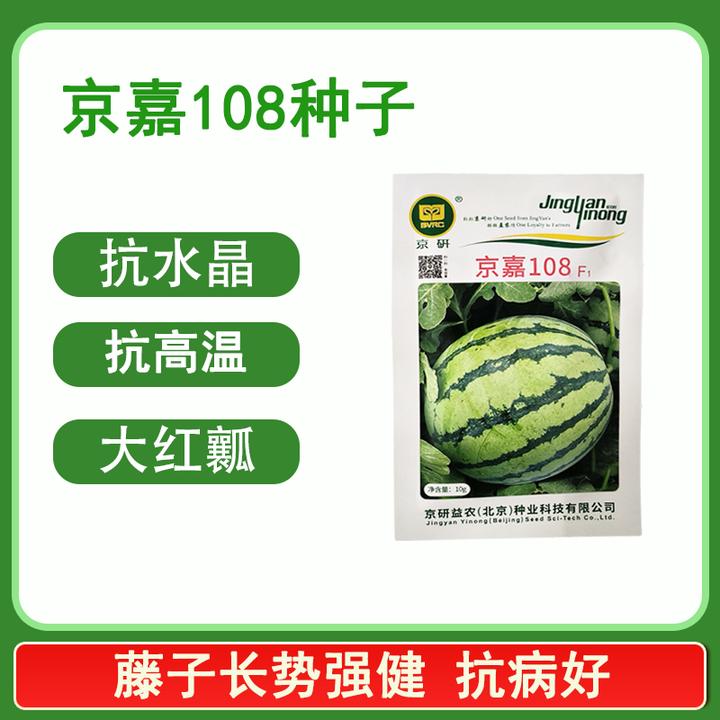 京嘉108早春西瓜种子耐高温抗水晶西瓜种子10克