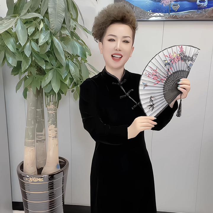 819高档丝绒旗袍长袖中国风复古气质显瘦时尚洋气宽松遮肉弹力大