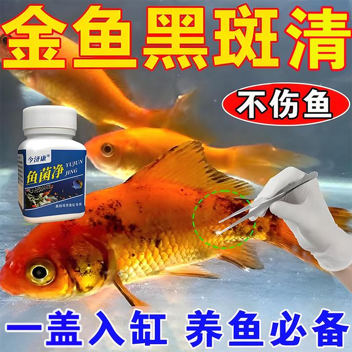 【观赏鱼黑斑】鱼菌净黑斑红斑烂肉掉鳞蒙眼不爱动不伤鱼通用
