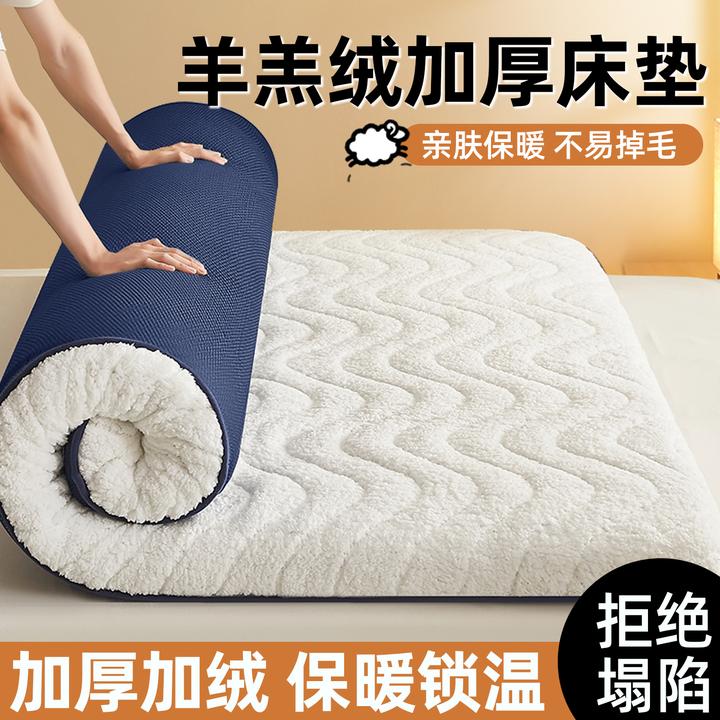 冬季羊羔绒乳胶床垫家用卧室软垫海绵榻榻米垫子宿舍学生单人床褥