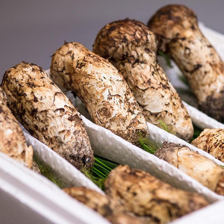 云南特产高海拔深山特大新鲜姬松茸食用菌煲汤煎炒营养鲜美1/2斤