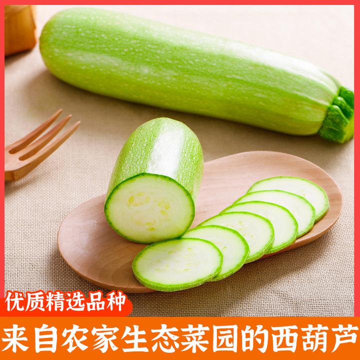 云南通海农家种植新鲜现摘现发西葫芦6斤/8斤/10斤包邮