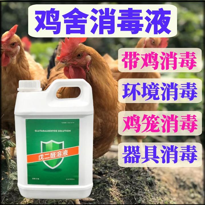 养殖场使用戊二醛消毒液鸡舍消毒剂高效杀菌鸡棚圈舍消毒预防鸡瘟