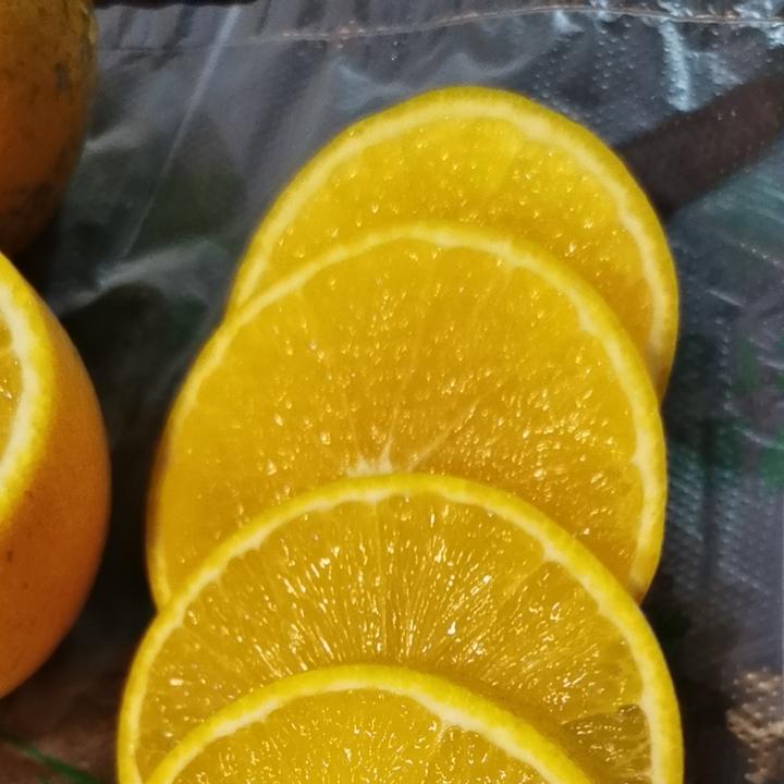 云南褚橙之乡高原花腰女儿冰糖橙15年老树果