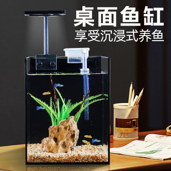 超白鱼缸小型客厅小鱼缸生态玻璃缸斗鱼金鱼缸家专用桌面造景全套