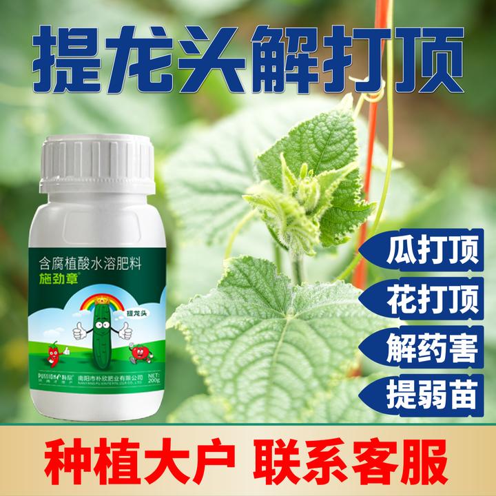 施劲章【提龙头黄瓜专用叶面肥】补充营养液农用液体肥