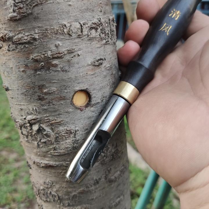 黑檀木手柄圆形嫁接工具，盆景树桩，松柏，果树嫁接好用工具