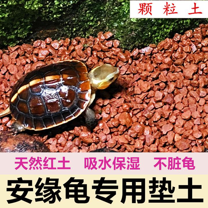 安缘土乌龟黄缘专用天然红土颗粒土保湿垫材陆龟爬宠饲养细腻普通