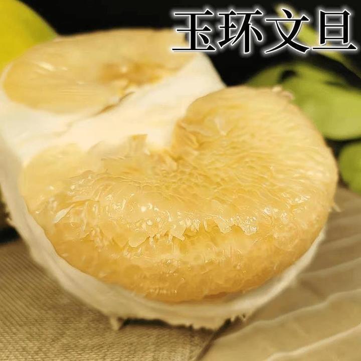 玉环文旦柚苗嫁接柚子苗 文旦柚子树苗 庭院盆栽果树苗南北方种植