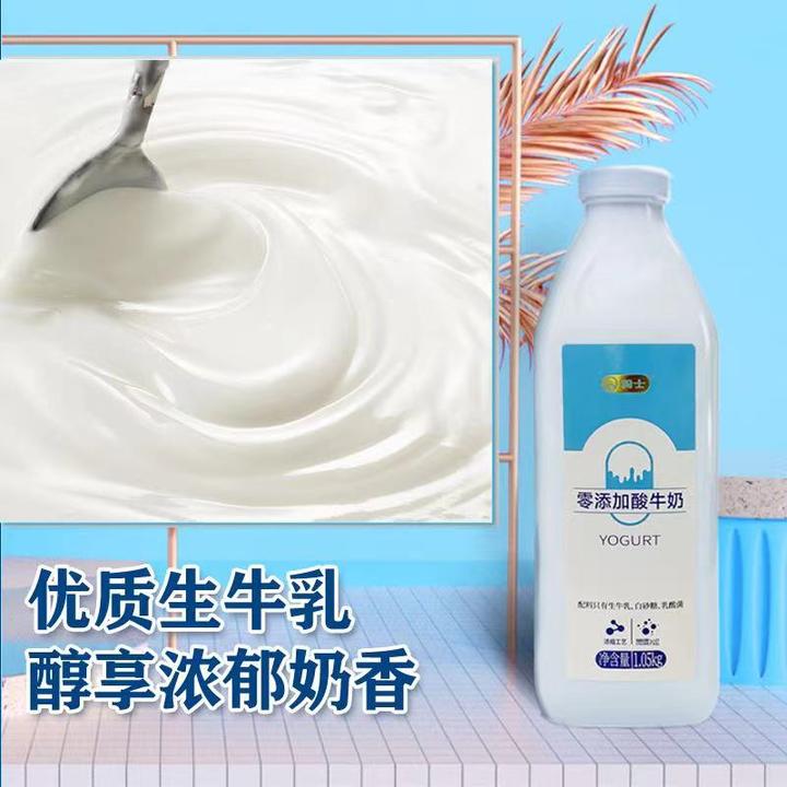 骑士1.05kg酸奶两款0蔗糖 0添加发酵风味原味早餐浓酸牛奶