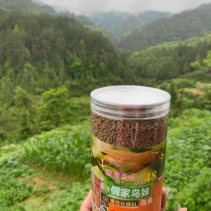 侗家鸟妹48斗鸟提性壮膘料手工制作营养料唱鸟母斗鸟料画眉鸟饲料