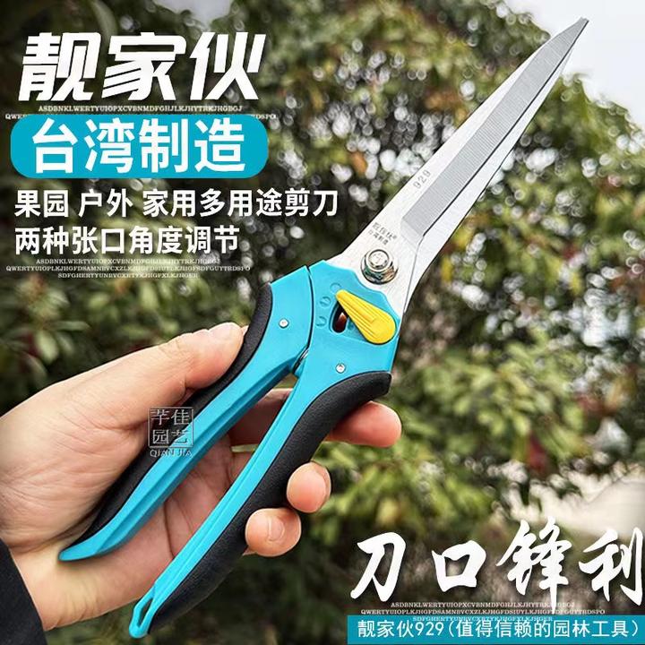 台湾进口靓家伙剪枝929加长月季园艺果树盆栽园林修花调节剪