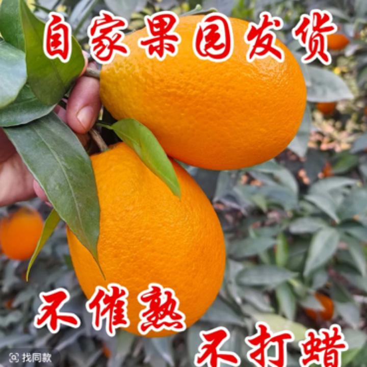 奉节脐橙自家果园，不洗药，不打蜡