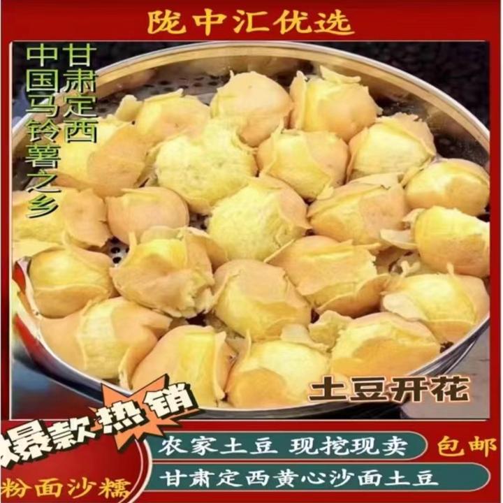 甘肃定西旱地农家肥黄心土地开花爆粉面纱新鲜现挖洋芋5斤9斤包邮