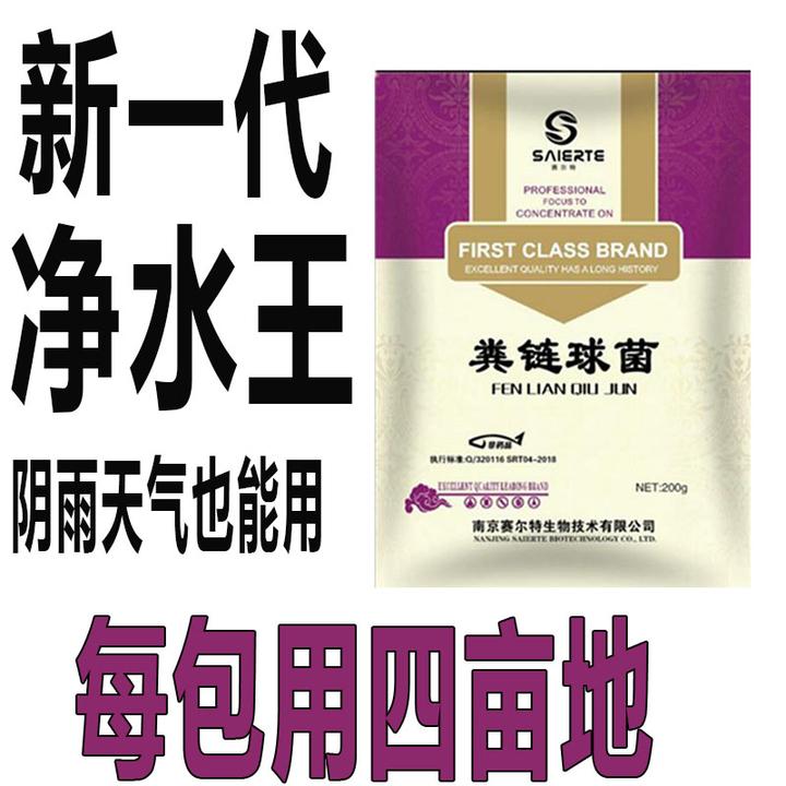 粪链球菌粪肠球菌调水净水乳酸菌改善肠道鱼虾蟹粪链乳杆菌增产