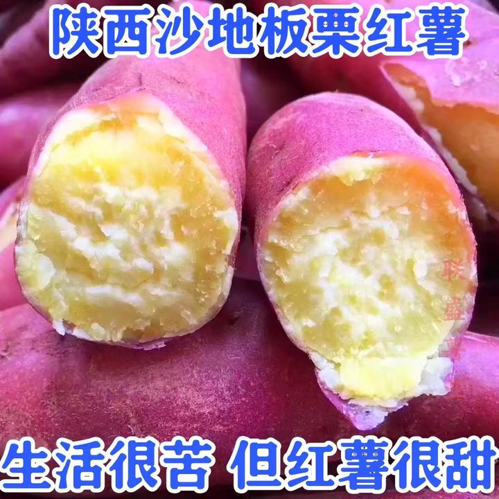 陕西沙地板栗红薯地瓜板栗红薯蜜薯糖心宝宝辅食3/5/9斤现挖现发