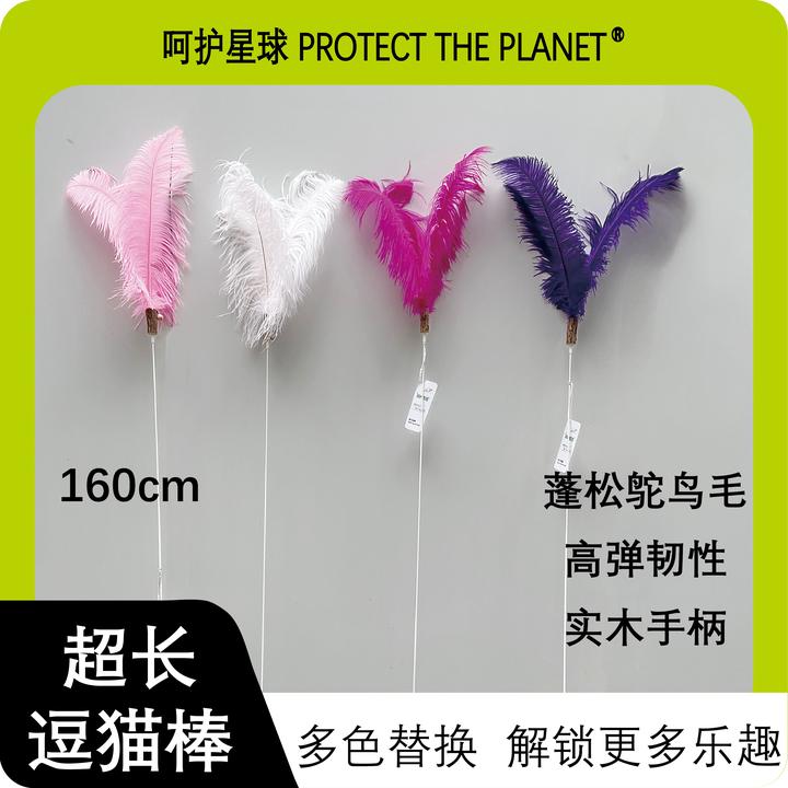 呵护星球逗猫棒赛级羽毛鸵鸟毛自制手工宠物动物超长高颜值逗猫棒