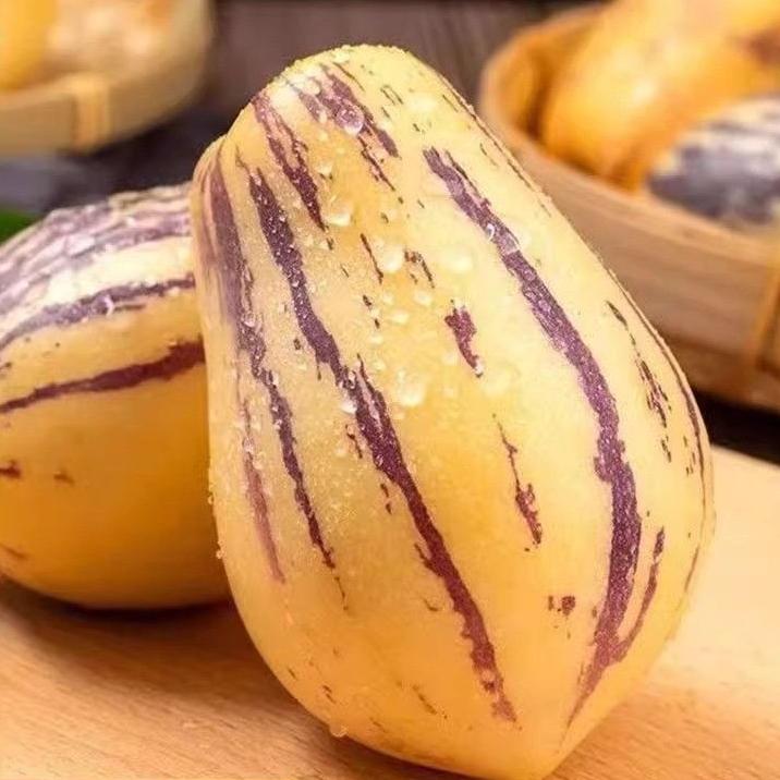 民勤沙漠人生果树上成熟正宗甘肃人参果黄肉水嫩多汁产地直发水果