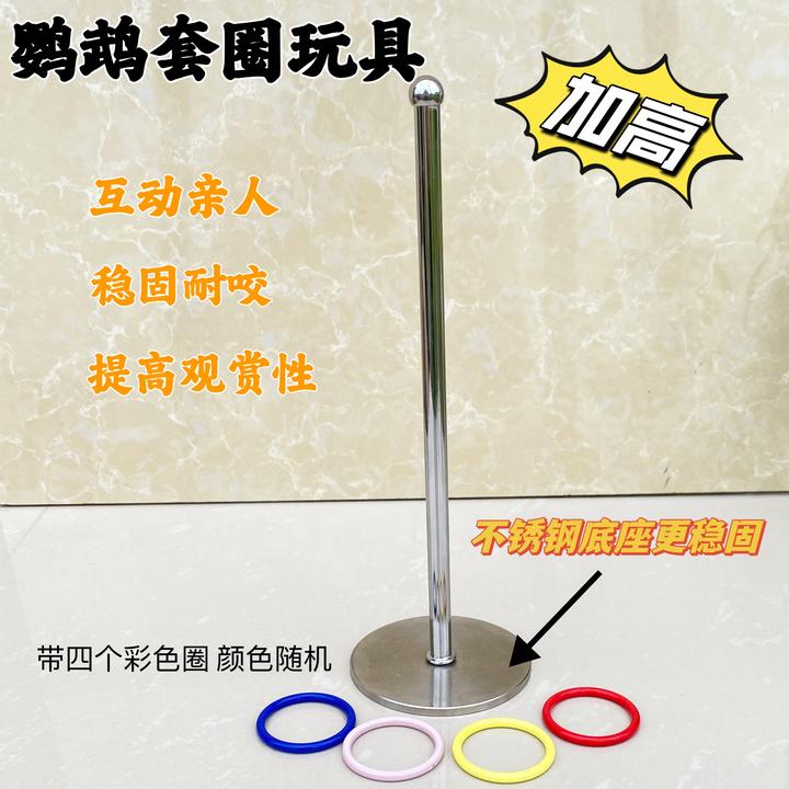 鹦鹉加高套圈玩具不锈钢底座训鸟道具亲人互动表演新款技能中小型