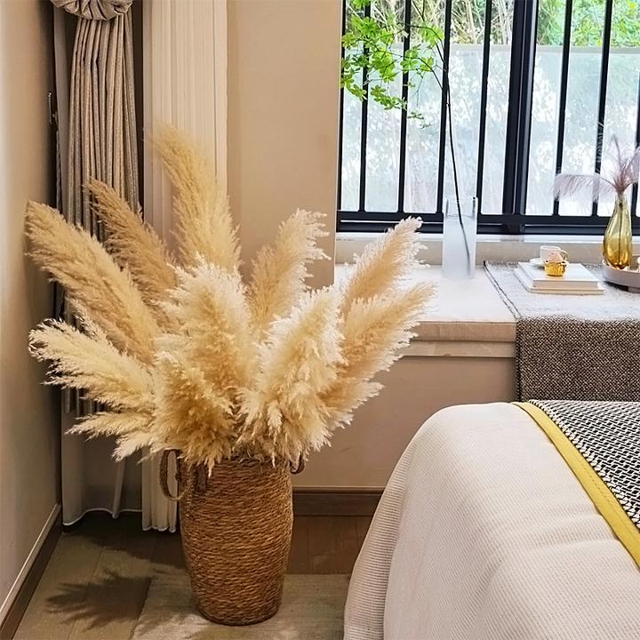 网红天然芦苇蒲苇干花永生花造景客厅玄关电视柜法式直播装饰摆件