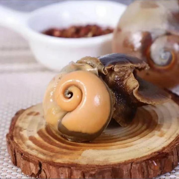 鲜活海捕猫眼螺 6-10个左右/斤  鲜活发货包鲜不包活