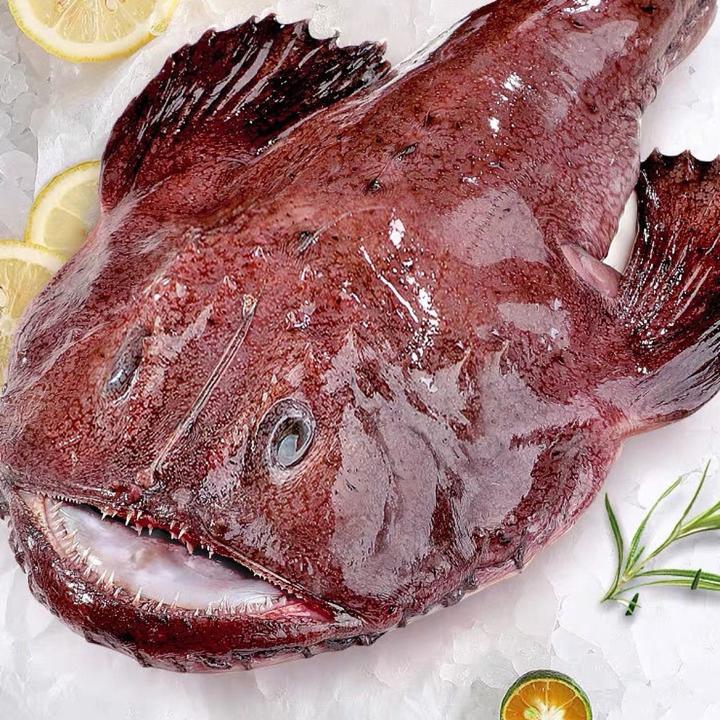 新鲜安康鱼灯笼鱼鮟鱇鱼大蛤蟆鱼大嘴鱼【去内脏保留鱼肝鱼肚】海捕