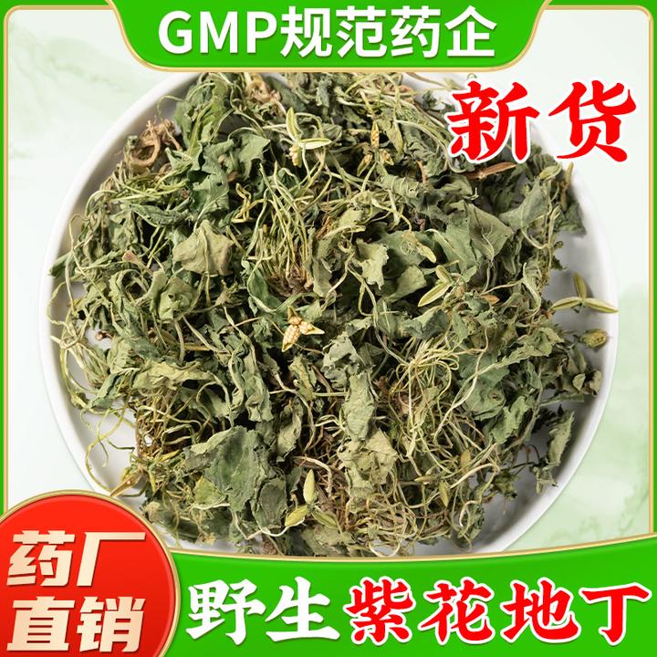 野生紫花地丁中药材旗舰店正品 新鲜干货地丁草犁头草紫花地丁茶