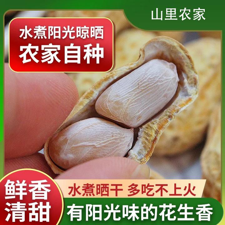 【2025年新果河源忠信花生】水煮咸干花生香甜健康好吃坚果零食软口