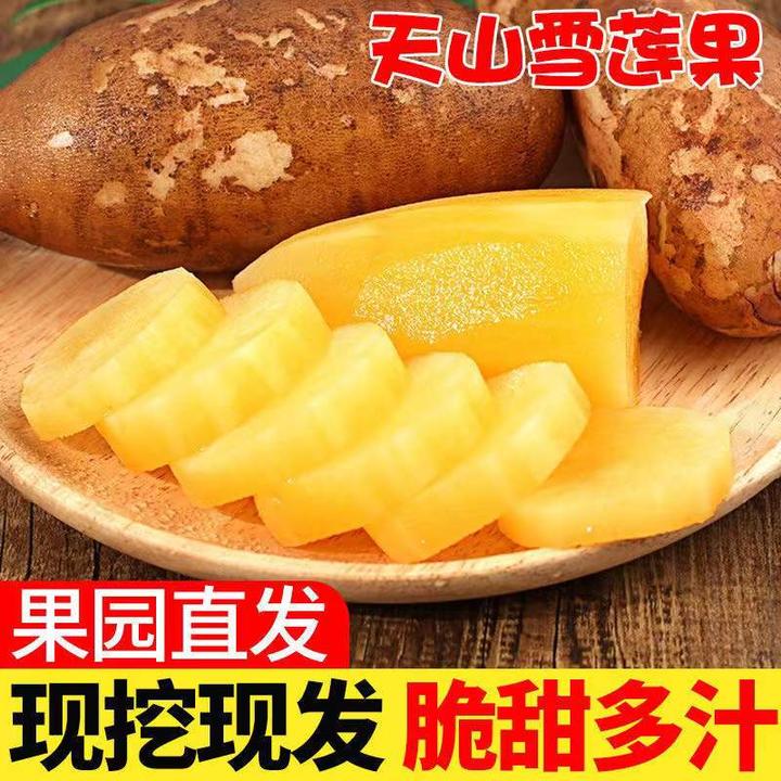 精选新鲜现挖现发应季云南天山雪莲清甜多汁5斤果地采摘坏果包赔