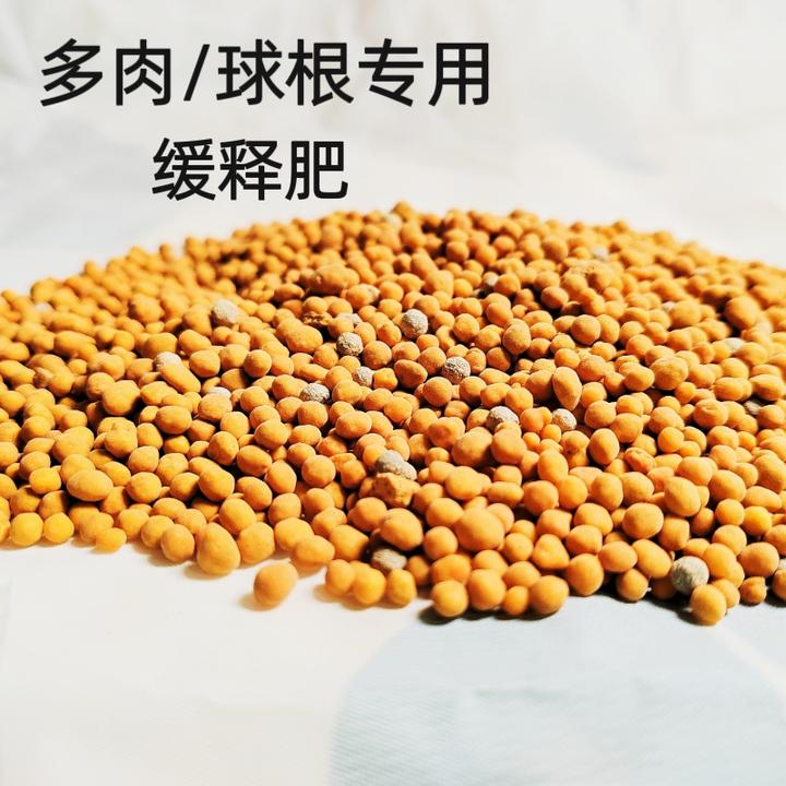 奥绿A2缓释肥 多肉球根专用肥 多肉缓释肥