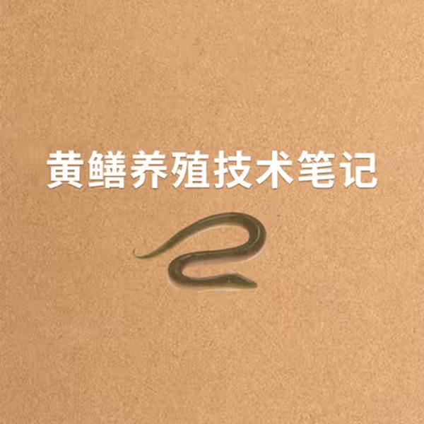 黄鳝养殖笔记（黄鳝养殖学习专用）
