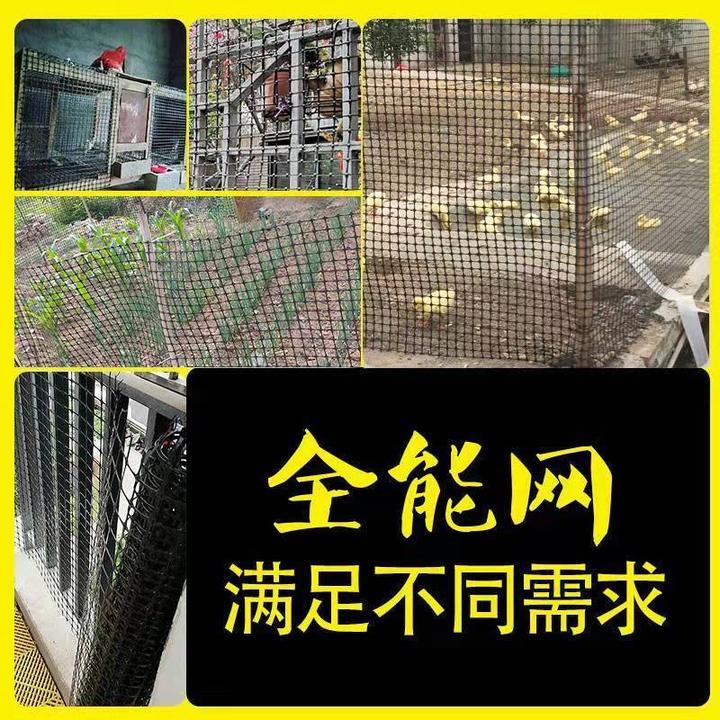 养鸡鸭塑料围栏网家用养殖网果园菜园圈地结实耐用防护网厂家现货