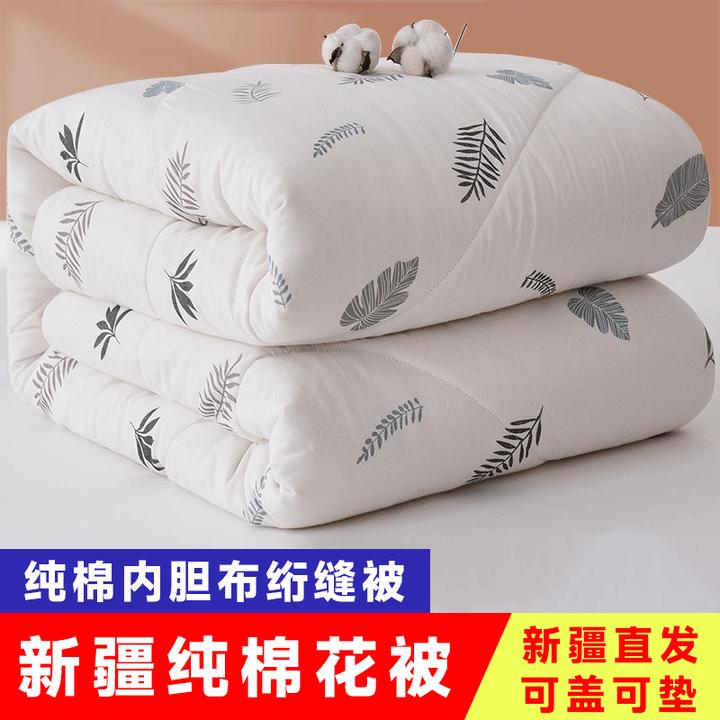 新疆1斤夏凉被手工单双人棉花被垫被加厚纯棉新棉夏凉被学生宿舍