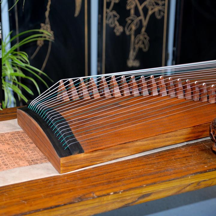 入门面板整挖小古筝高档成人儿童学生21弦初学者开学季顺丰便携筝