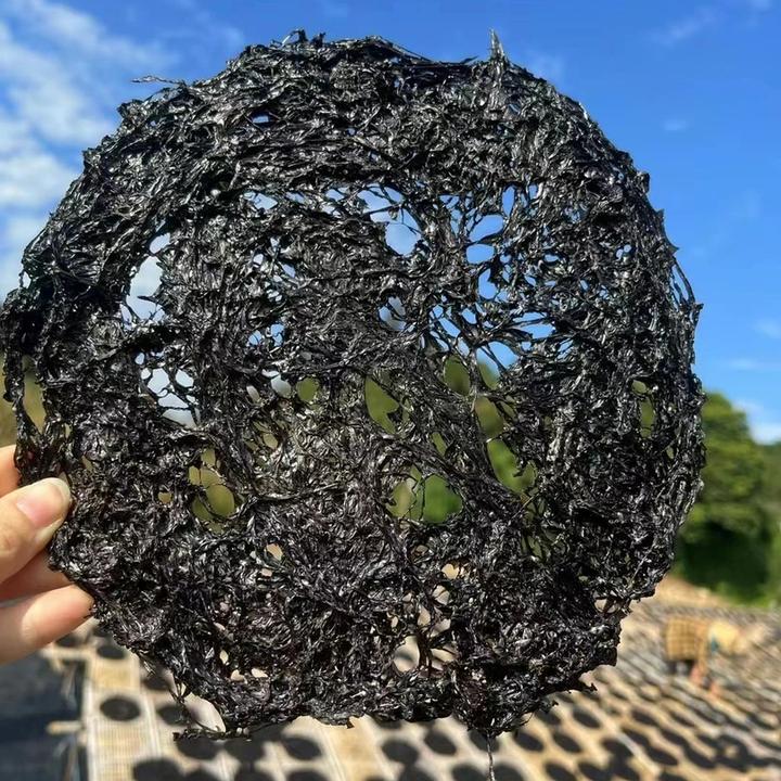 今年新头水紫菜特产紫菜南澳免洗无沙食海鲜紫菜海带海藻幼嫩紫菜