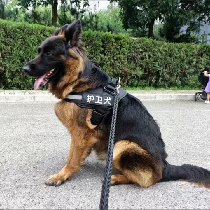 狗狗牵引绳马犬专用警犬套背衣服马甲外出遛狗灯柯基杜宾中大型犬
