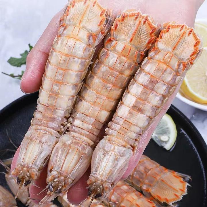 皮皮虾包肥超大特大虾婆虾蛄冷冻濑尿虾富贵虾非即食海鲜水产大虾