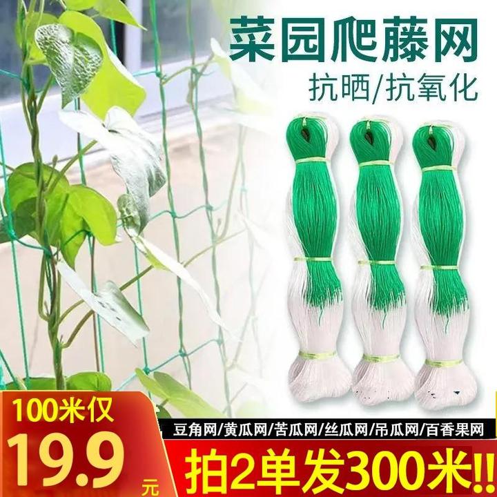 【厂家直销 买二送一】爬藤网多功能园艺捆扎线爬藤蔓固定器