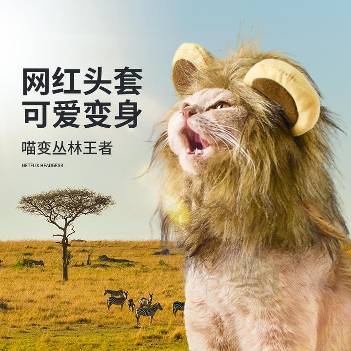 猫咪套帽子兔耳朵兔子网红透气遮阳加厚立体卡通帽子装宠物生日