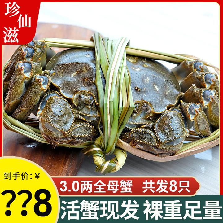 【活蟹现货】溱湖簖蟹3.1-2.8两全母蟹大闸蟹8只精品蟹鲜活顺丰包邮