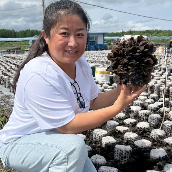 【刘美娜】专营伊春黑木耳肉厚无根无添加不增重木耳