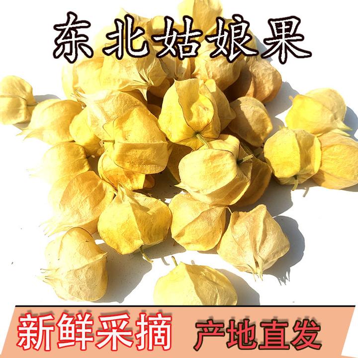 云南新鲜水果菇娘果现货姑娘果灯笼果新鲜大果黄姑娘果洋姑娘应季