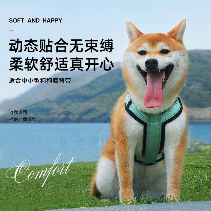 牵引绳防挣脱胸背反光牵引绳中小型犬狗绳牵引绳