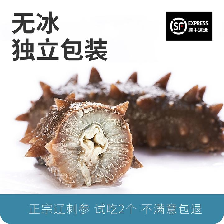 【Q弹劲道处理】鲜食即食海参Q弹口感独立包装可试吃包邮现场装