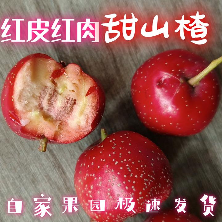 新鲜山楂甜红子甜口当季鲜果